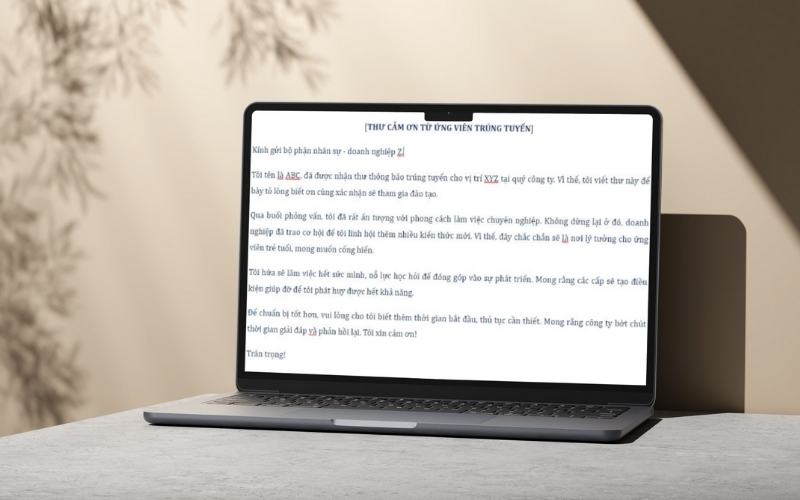 Kiểm tra kỹ lỗi chính tả trước khi nhấn gửi email